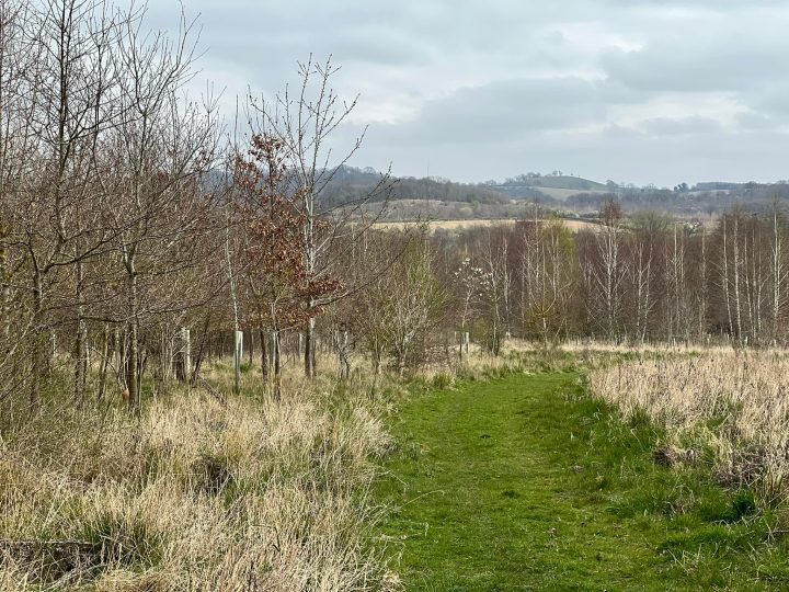 heart of england forest