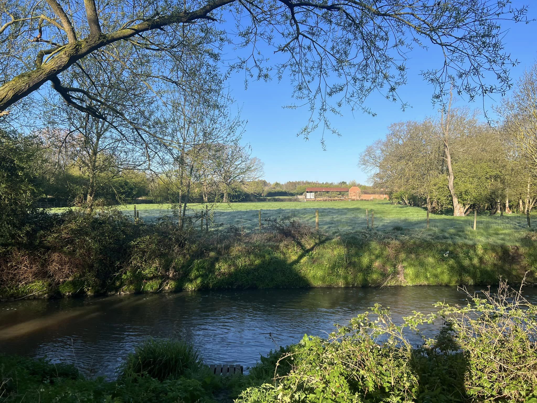 River Background